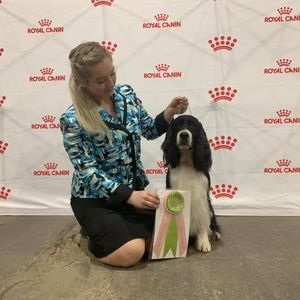 Meet your Posher, Mattie